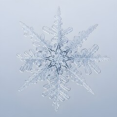A stunning macro shot of a single, intricately detailed snowflake against a soft, light background, showcasing its unique crystalline structure and delicate beauty.