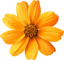   illustration single yellow cosmos flower