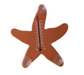 Thermometer in the form of a starfish isolated on a transparent background
