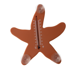 Thermometer in the form of a starfish isolated on a transparent background