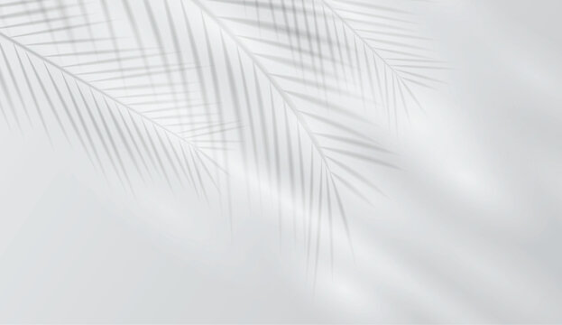 Abstract gray background with soft tropical leaf shadows and gentle light reflections. Display pedestal mockup minimal scene empty stage for presentation product, stand, showcase, exhibition, display