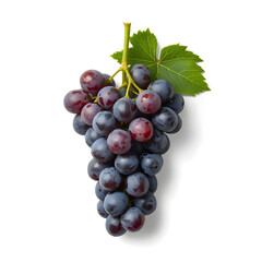 Fototapeta premium Fresh Bunch of Juicy Red Grapes with Green Stem Isolated on White Background 