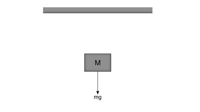Physics diagram showing a hanging mass M with tension force T upward and gravitational force mg downward, explaining tension, equilibrium, and Newton&rsquo;s second law, Isaac Newton's physics mechanics