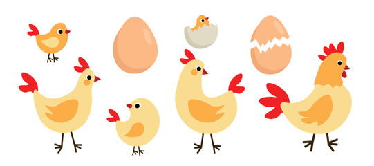Set of cute yellow chickens in cartoon style. Vector illustration of beautiful characters: hens, rooster, chicks in different sizes and poses, whole egg, with cracks isolated on white background.