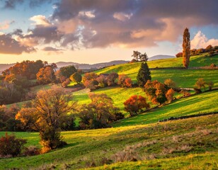 Autumnal hills bathed in golden light