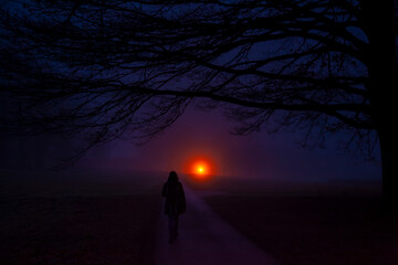 Fototapety na wymiar - Fototapeta24.pl