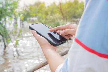 Woman or tourist with phone enjoying beautiful views. Mangrove forest travel.