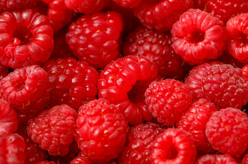 A bunch of red raspberries