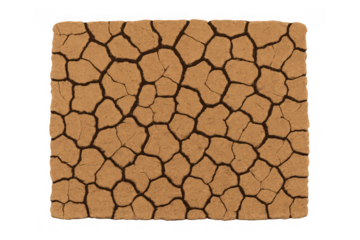 Cracked dry earth showing a texture of parched ground simulating desert regions and environmental drought conditions on transparent background