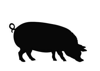 Silhouette of Pig