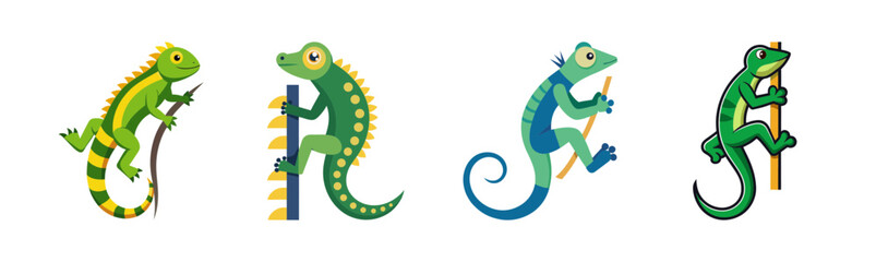 Obraz premium Four colorful chameleons climbing isolated on a