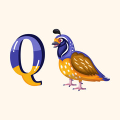 Yellow and blue letter Q with a happy quail, perfect for creative alphabet visuals and learning materials.