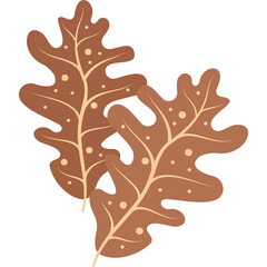 Two Brown Autumn Oak Leaves With Small Cream Dots And A Transparent Background Representing Fall Season