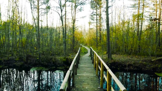 Aerial drone footage gliding and flying over a wooden boardwalk and a wooden bridge that is going across a reflective cold and dark colored small river or a water stream during autumn sunny day.