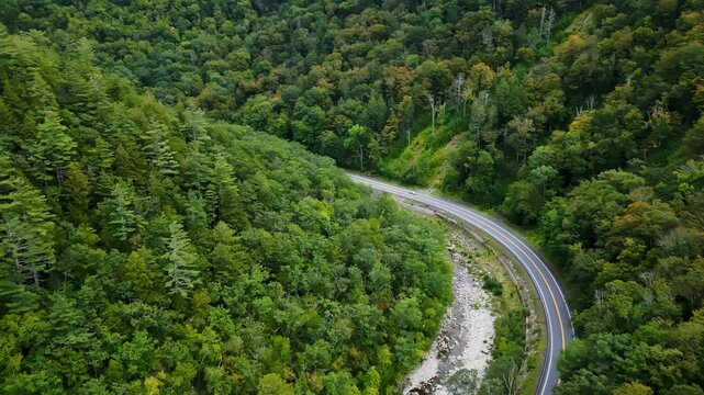 Winding Road Surrounded By Dense Green Hill, Mohawk Trail Scenic Road Massachusetts - Aerial Drone Shot