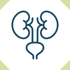Kidneys Icon