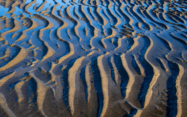 Endless sand structures with water filled ripples at low tide on the beach of Norderney island, Germany in National Park “Wattenmeer“. Natural seaside background pattern formed by current and wind. 