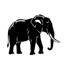 Fototapeta premium Elephant standing in side view silhouette
