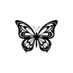 Fototapeta premium Black and white butterfly with intricate wing patterns