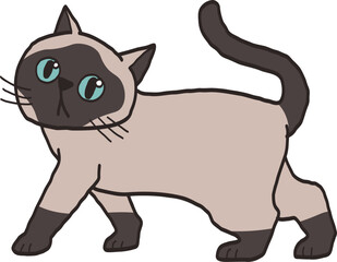 illustration of a Siamese Cat.