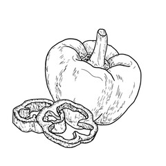 Bell pepper, simple drawing, black and white sketch. Vector illustration. Fresh farm vegetables, sliced and ringed isolated on white background. Theme of healthy eating, eco-friendly and vegetarianism