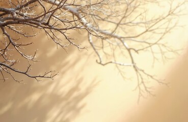 Bare tree branches with small buds show against warm brown sun washed blurred background. Natural light casts soft shadows. Winter season early spring nature background texture with copy space for