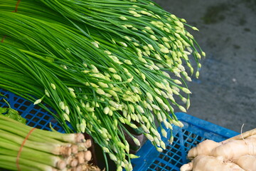 Garlic chive flowers with white buds in blue basket, thick green vegetable stems tied with red string left, brown root vegetables right, market vendor display, Taiwan.