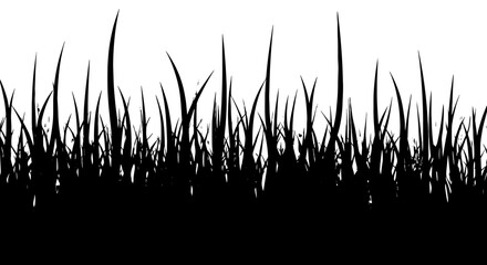 Silhouette of Grass Blades Against White Background for Nature Designs and Overlay Effects, Representing Growth and Springtime in a Minimalist Style, Ideal for Environmental Projects and Conceptual Ma