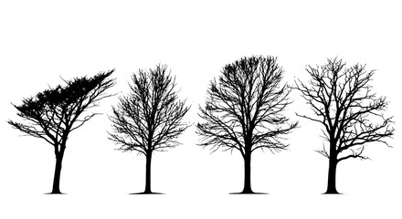 Bare Trees Silhouetted in Winter Progression: A Sparse Forest Landscape Demonstrating Seasonal Change for Environmental Awareness and Ecological Studies. Representing Nature's Cycle, ideal for Educati