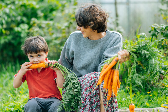 Woman and child harvesting carrots together in a summer vegetable garden
