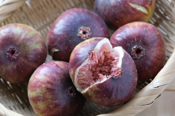 収穫したイチジク