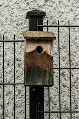 vogelhaus grün vogel haus