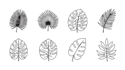 Collection of various palm leaf outlines for tropical design projects and natural aesthetics silhouette