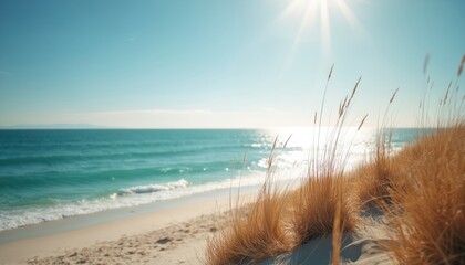 Dry coastal grass grows on sandy dune. Clear blue sky horizon and ocean meet the beach. Summer sun shines above tranquil seaside. Seaside landscape photo for advertisement and web design.