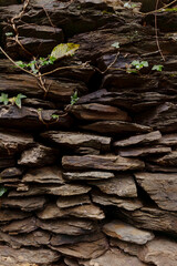 Traditional dry stone wall construction irregular stacked stones with green moss, ferns and hanging roots. Rustic rural architecture heritage natural texture