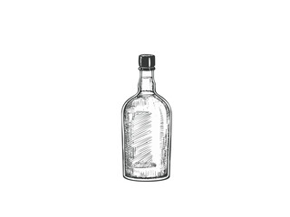 Gin Bottle Vector Illustration – Hand Drawn Alcohol Bottle Drawing