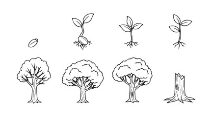 Stages of tree growth from seed to mature tree and stump hand drawn sketch silhouette
