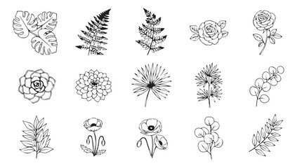 Collection of delicate botanical line art elements hand-drawn floral and leaf designs silhouette