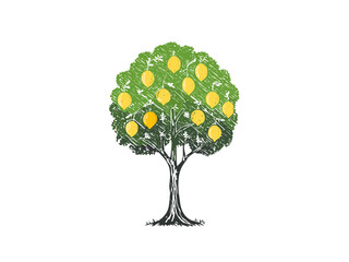 Lemon Tree Vector Illustration – Hand Drawn Citrus Fruit Tree Sketch