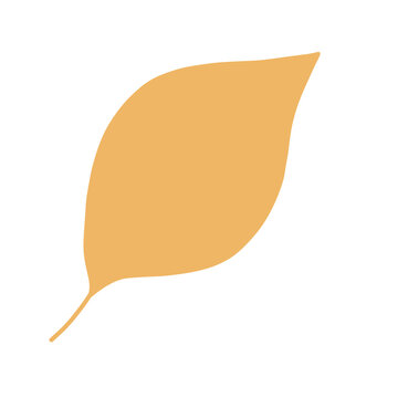 Orange Autumn Leaf shape illustration art