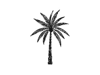 Palm Tree Vector Illustration – Hand Drawn Tropical Tree Sketch