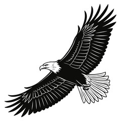 Obraz premium black and white Eagle in Flight with Spread Wings Silhouette