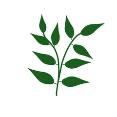 Stylized illustration of green leaves on branches