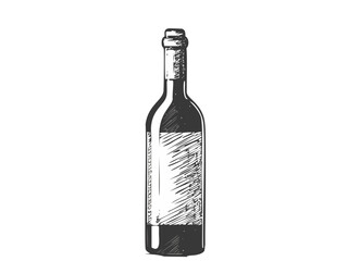 Wine Bottle Vector Illustration – Hand Drawn Red Wine Glass Bottle Drawing