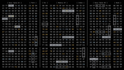 Computer binary matrix memory code encryption process in high security cloud server, cybersecurity data information programming technology software, digital hex number UI display interface monitor