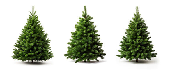 Green spruce trees collection isolated on transparent or white background