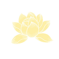 Lotus flower hand drawn golden lines