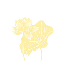 Lotus flower hand drawn golden lines