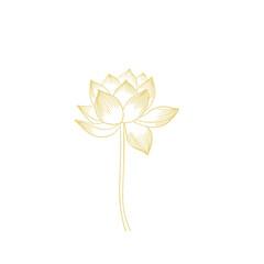 Lotus flower hand drawn golden lines