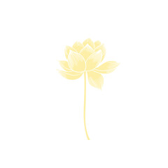 Lotus flower hand drawn golden lines